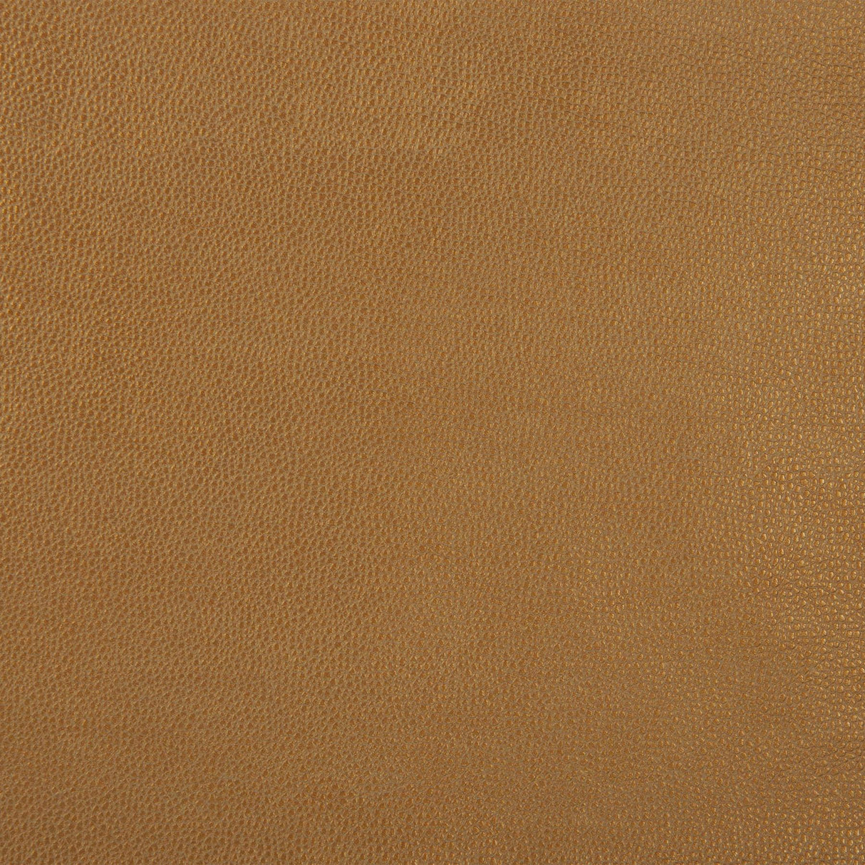 Kravet DESIGN SPARTA 4 Upholstery Fabric