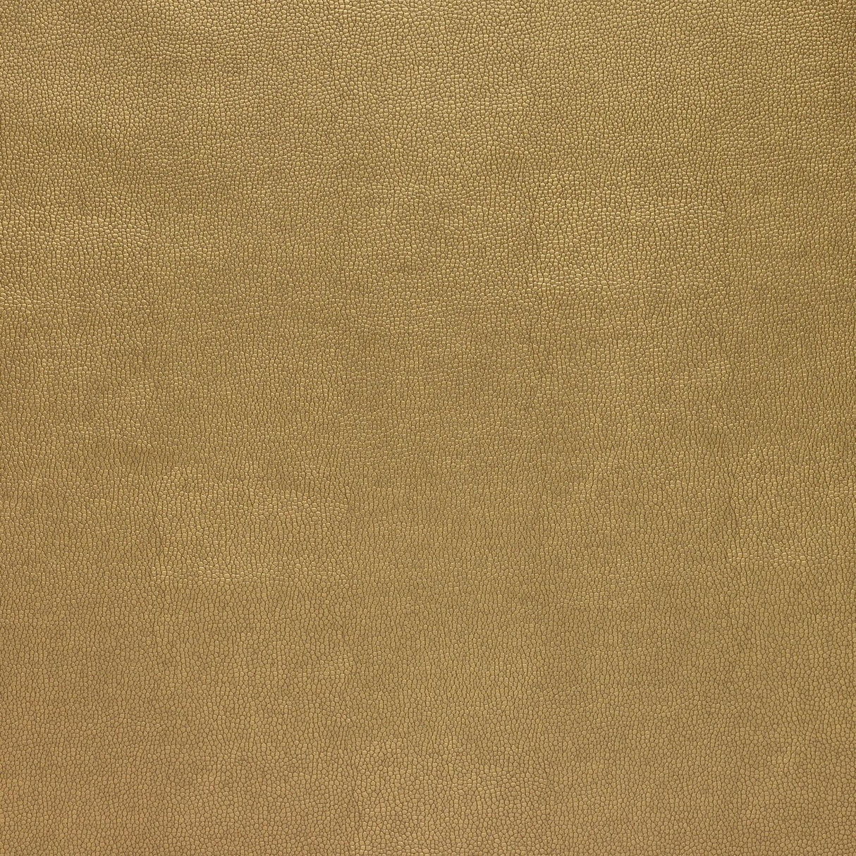 Kravet DESIGN SPARTA 404 Upholstery Fabric