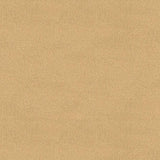 Kravet PLAZZO MOHAIR LIMESTONE Upholstery Fabric
