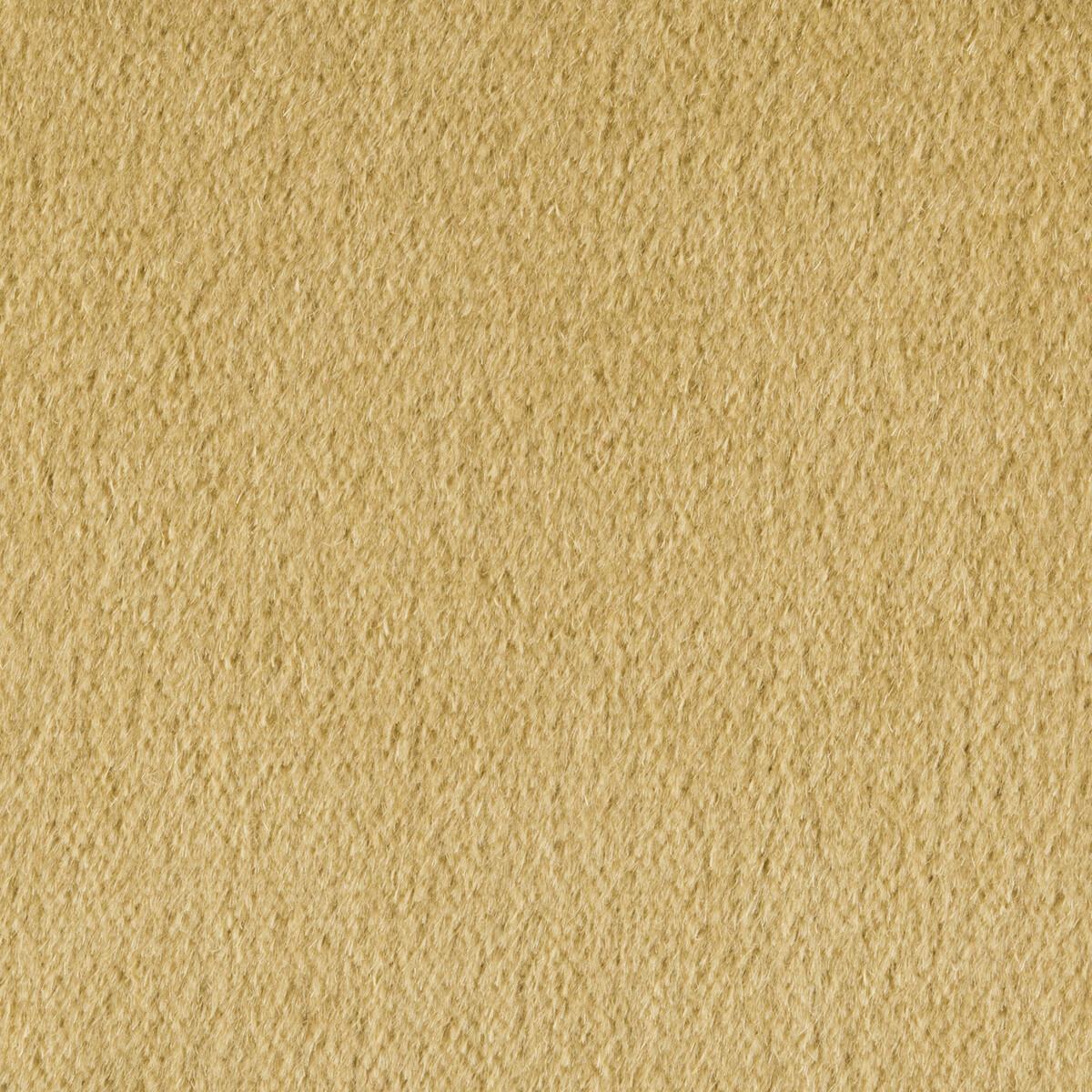 Kravet Plazzo Mohair Desert Fabric