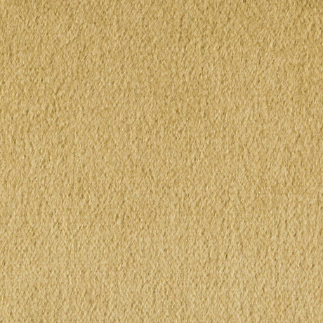 Kravet Plazzo Mohair Desert Fabric