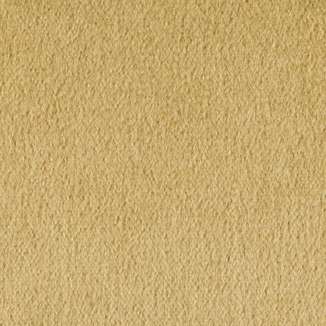 Kravet PLAZZO MOHAIR DESERT Upholstery Fabric