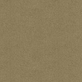 Kravet PLAZZO MOHAIR PUMICE Upholstery Fabric