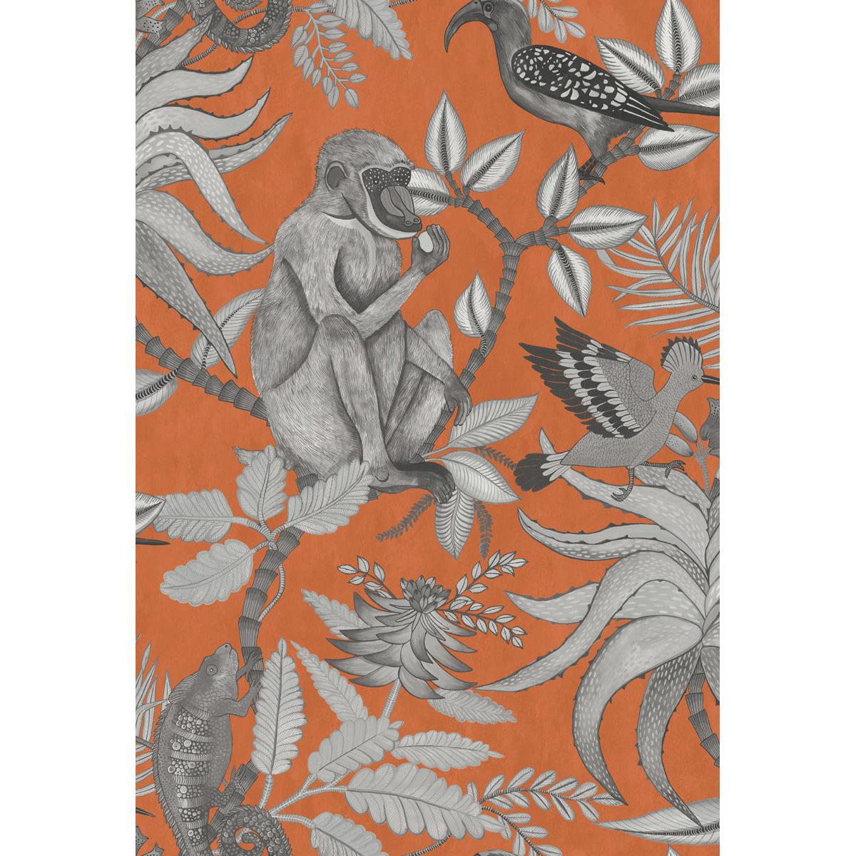 Cole & Son SAVUTI ORANGE Wallpaper