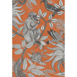 Cole & Son SAVUTI ORANGE Wallpaper