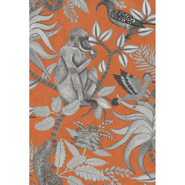Cole & Son SAVUTI ORANGE Wallpaper