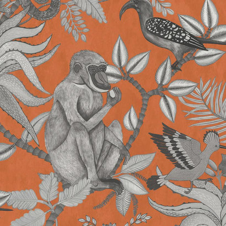 Cole & Son SAVUTI ORANGE Wallpaper