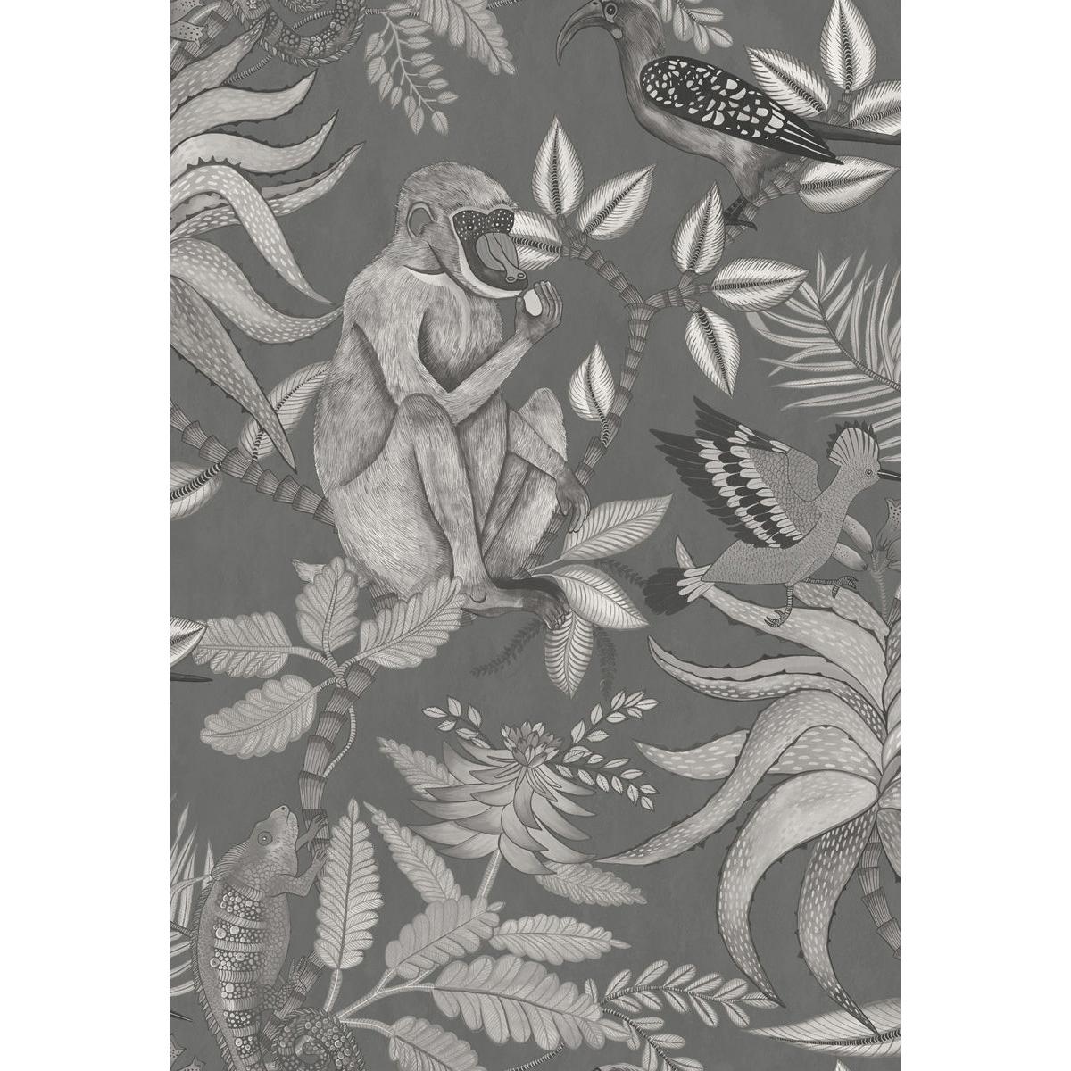 Cole & Son SAVUTI CHARCOAL Wallpaper