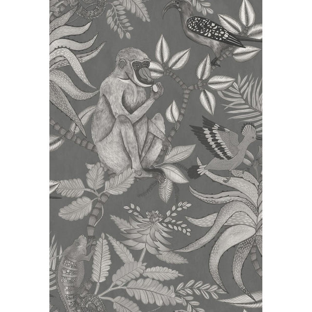 Cole & Son SAVUTI CHARCOAL Wallpaper