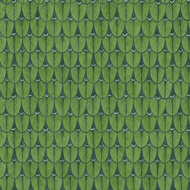 Cole & Son NARINA LEAF GREEN Wallpaper
