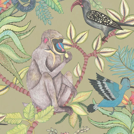 Cole & Son SAVUTI KHAKI MULTI Wallpaper