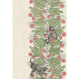 Cole & Son Acacia Green & Coral Berries Wallpaper