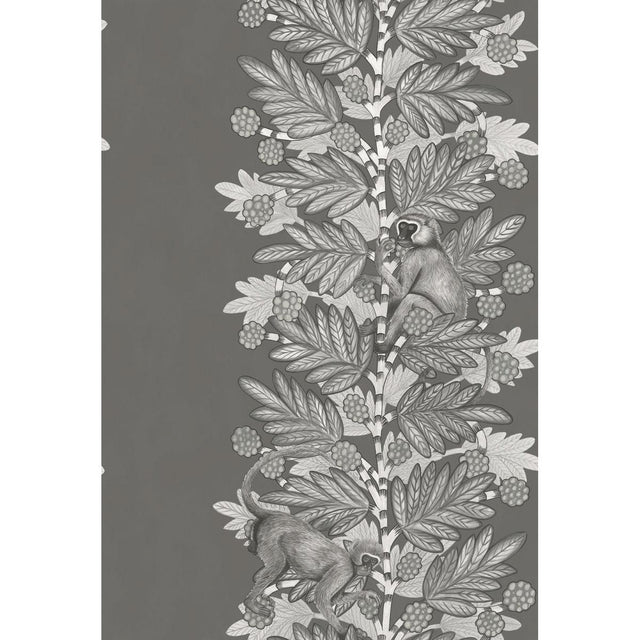 Cole & Son ACACIA CHARCOAL & SILVER Wallpaper