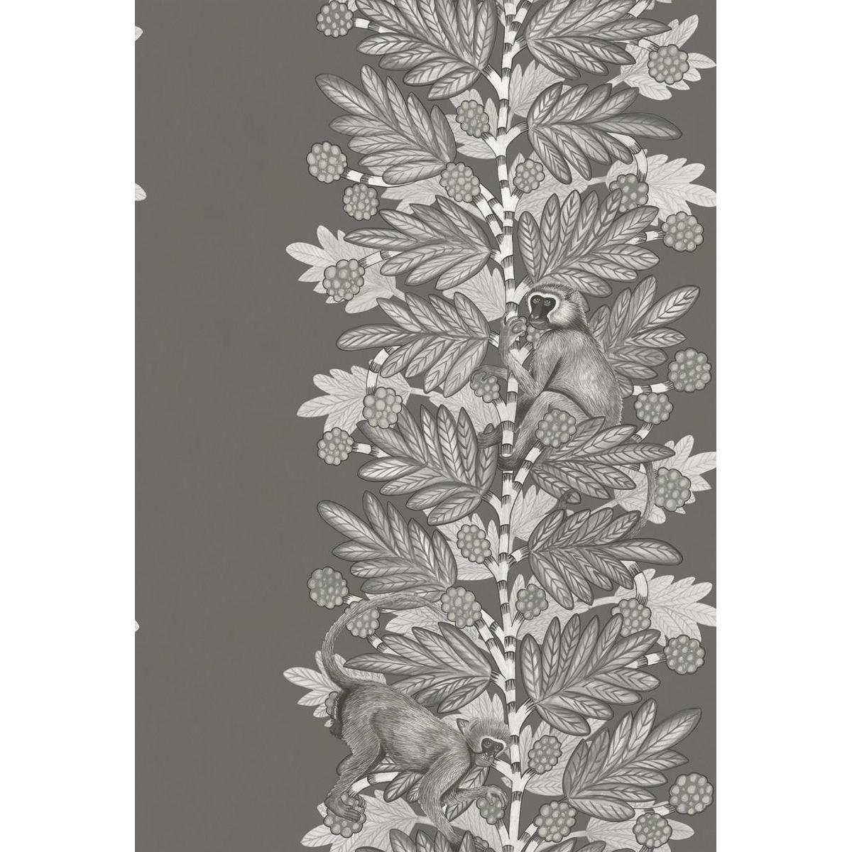 Cole & Son ACACIA CHARCOAL & SILVER Wallpaper