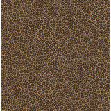Cole & Son SENZO SPOT TRUE LEOPARD Wallpaper