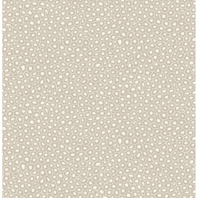 Cole & Son SENZO SPOT STONE & WHITE Wallpaper