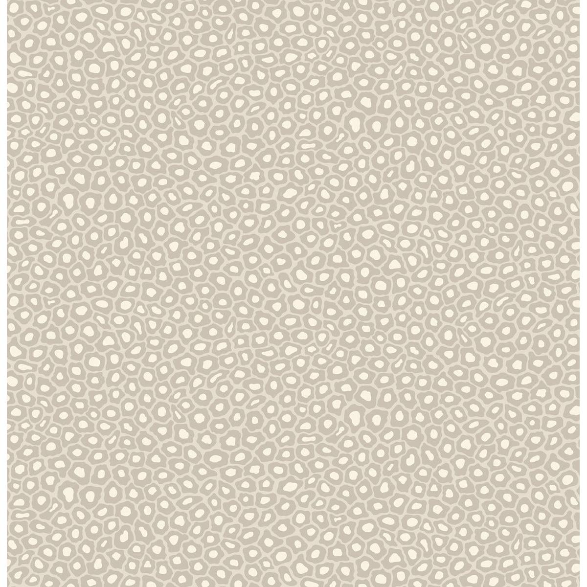 Cole & Son SENZO SPOT STONE & WHITE Wallpaper