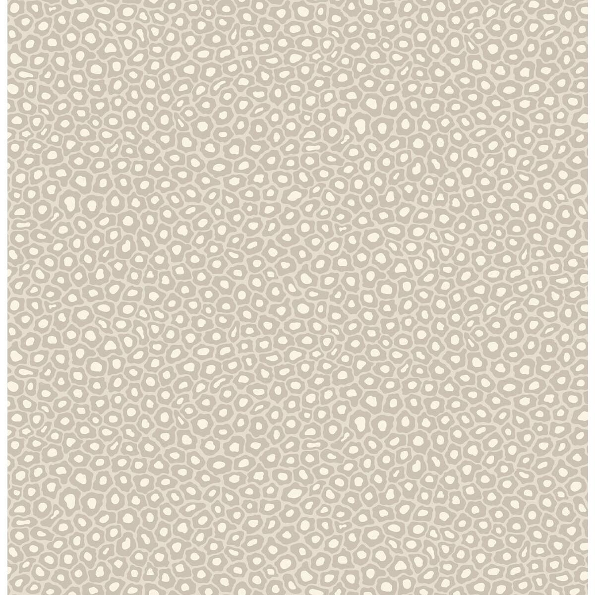 Cole & Son Senzo Spot Stone & White Wallpaper