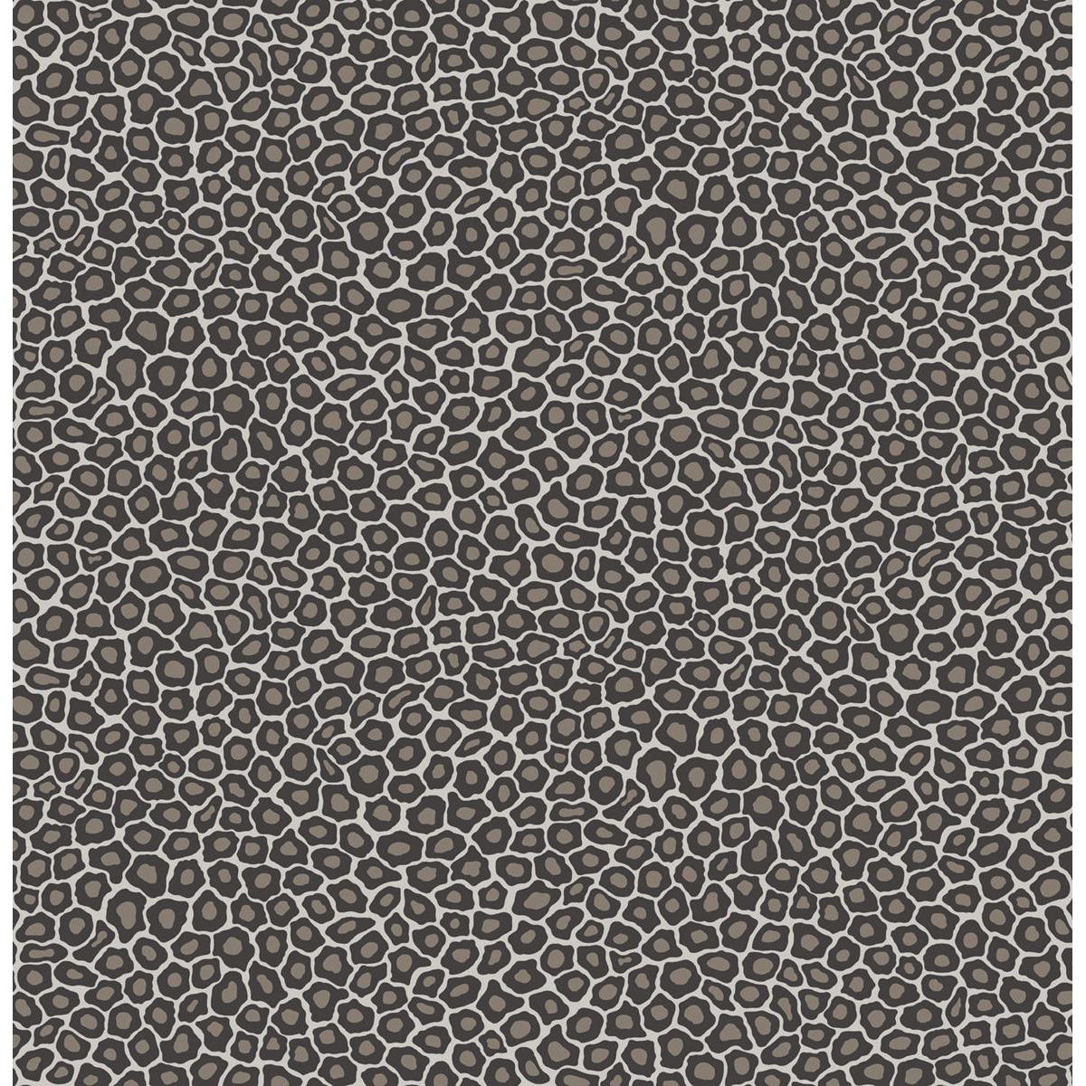 Cole & Son SENZO SPOT BLACK & WHITE Wallpaper