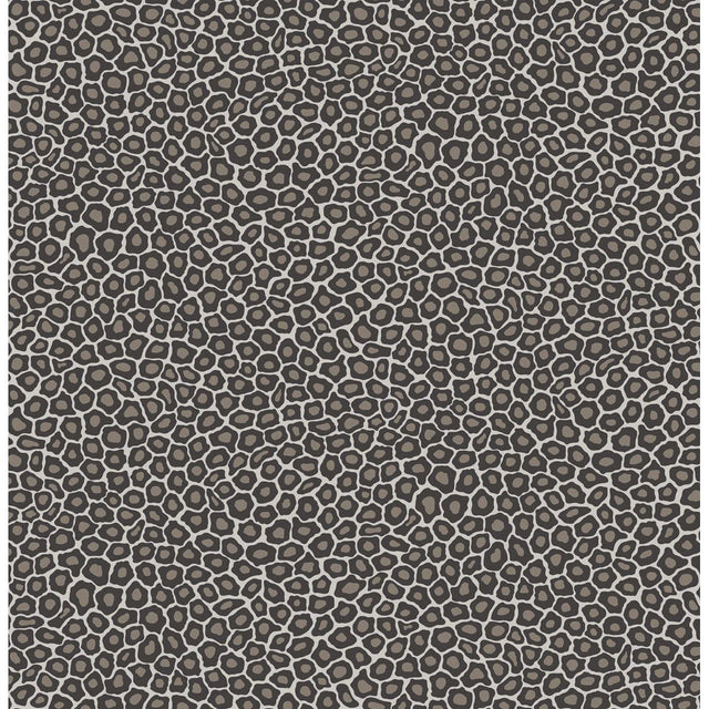 Cole & Son SENZO SPOT BLACK & WHITE Wallpaper