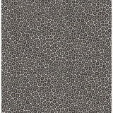 Cole & Son SENZO SPOT BLACK & WHITE Wallpaper