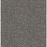 Cole & Son Senzo Spot Black & White Wallpaper