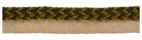 Kravet VINE CORD LICHEN Trim