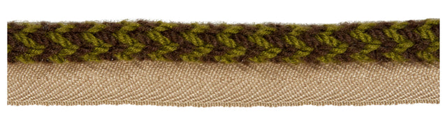 Kravet VINE CORD LICHEN Trim