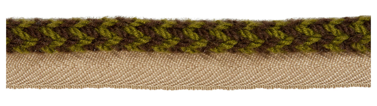 Kravet VINE CORD LICHEN Trim