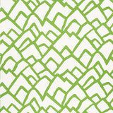 Schumacher Zimba Lawn Fabric