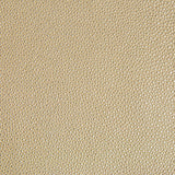 Kravet DESIGN TREZZO 16 Upholstery Fabric