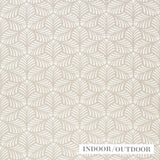 Schumacher Sonia Ii Indoor/Outdoor Natural Fabric
