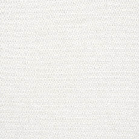 Schumacher Camarillo Weave Indoor/Outdoor Ivory Fabric