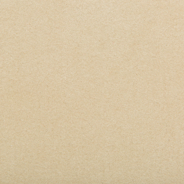 Kravet DESIGN ULTRASUEDE 1BB Upholstery Fabric