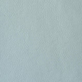 Kravet VALERA SPA Upholstery Fabric