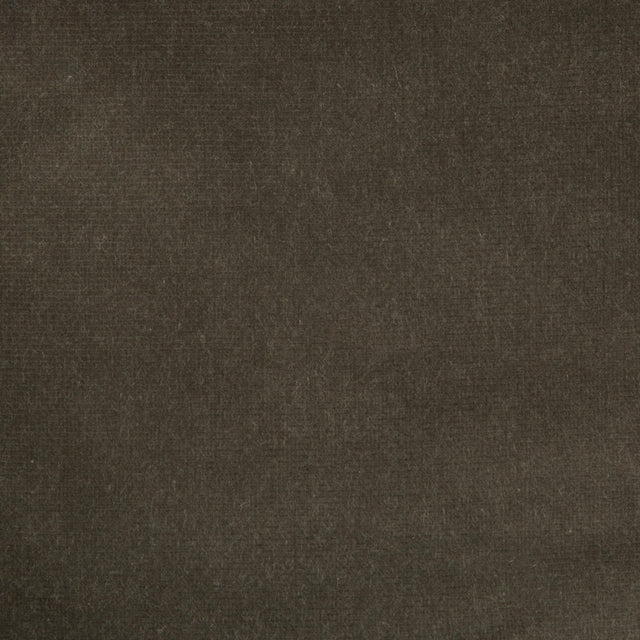 Kravet DESIGN VERSAILLES E205060 Upholstery Fabric