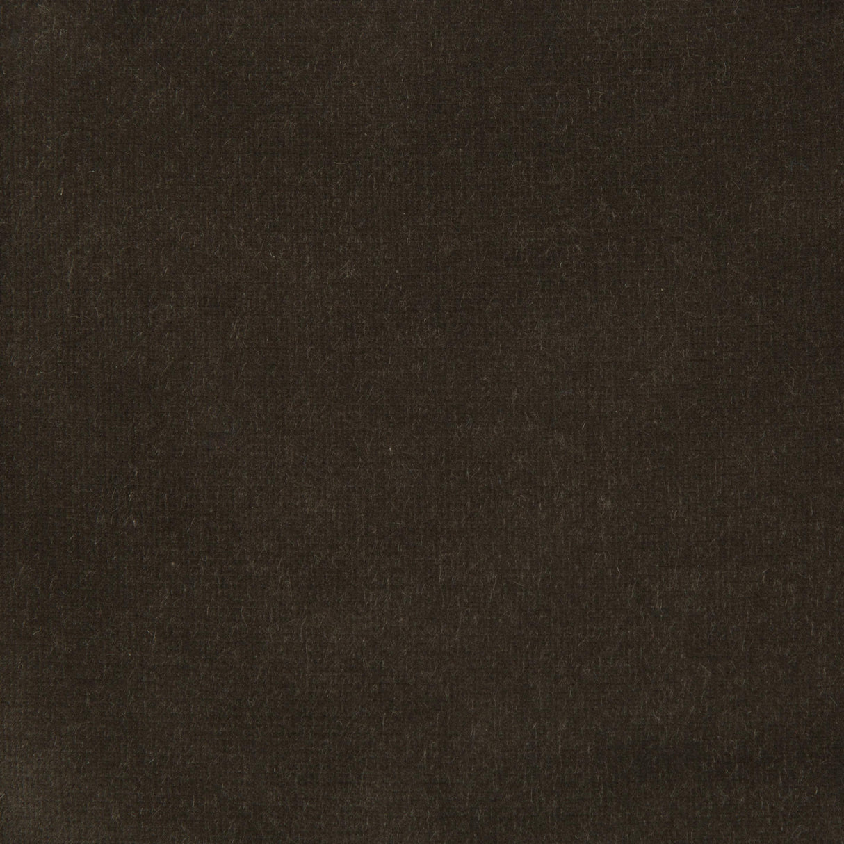 Kravet DESIGN VERSAILLES E205370 Upholstery Fabric