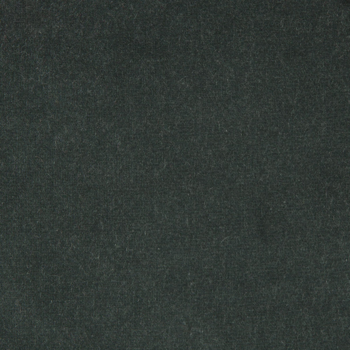 Kravet DESIGN VERSAILLES E207130 Upholstery Fabric