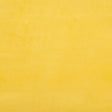 Kravet DESIGN VERSAILLES E213030 Upholstery Fabric