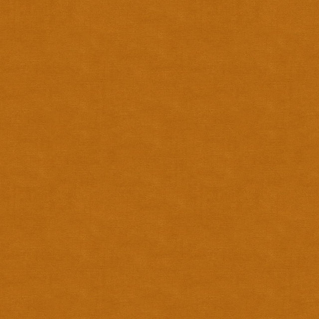 Kravet DESIGN VERSAILLES E214180 Upholstery Fabric