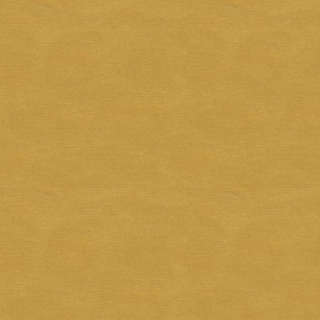 Kravet DESIGN VERSAILLES E217080 Upholstery Fabric
