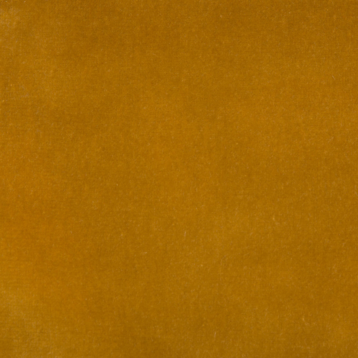 Kravet DESIGN VERSAILLES E219010 Upholstery Fabric