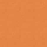 Kravet DESIGN VERSAILLES E220080 Upholstery Fabric