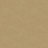 Kravet DESIGN VERSAILLES E244330 Upholstery Fabric