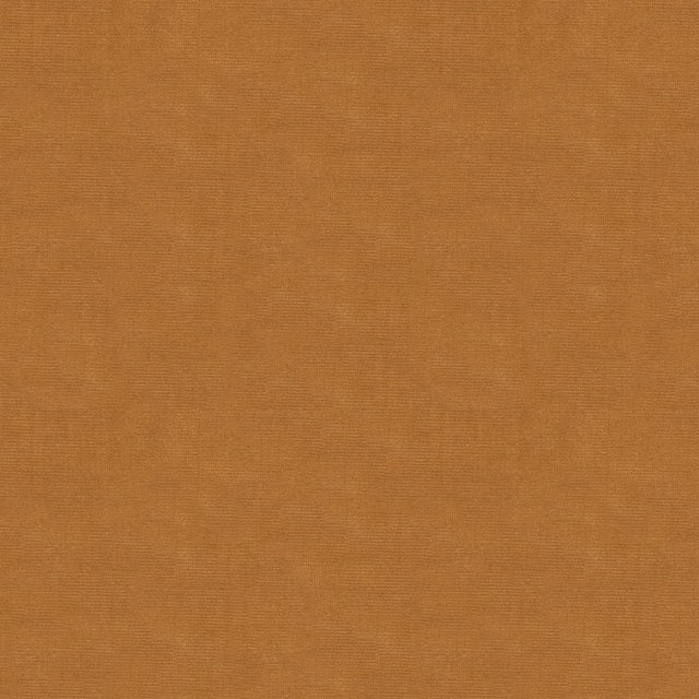 Kravet DESIGN VERSAILLES E246140 Upholstery Fabric