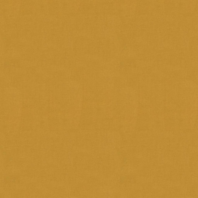 Kravet DESIGN VERSAILLES E248030 Upholstery Fabric