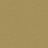 Kravet DESIGN VERSAILLES E248220 Upholstery Fabric