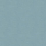 Kravet DESIGN VERSAILLES E250470 Upholstery Fabric