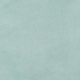 Kravet DESIGN VERSAILLES E251030 Upholstery Fabric