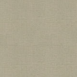 Brunschwig & Fils BANKERS LINEN ASH Fabric